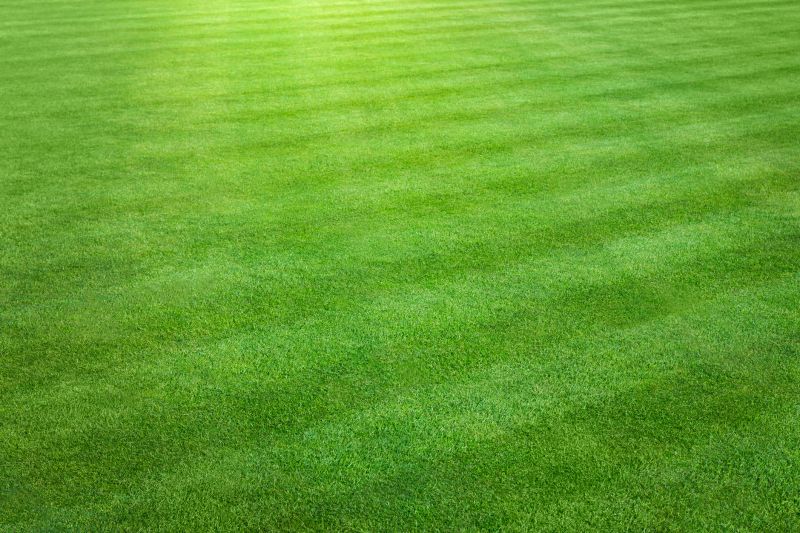Trimmed Lawns