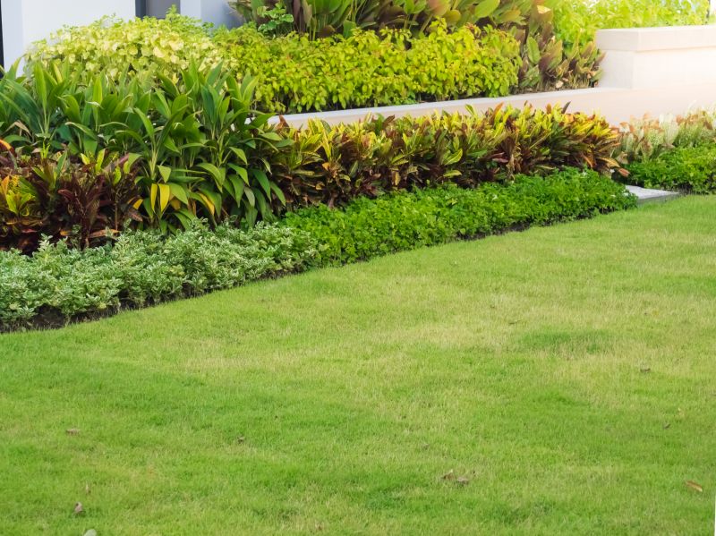 Healthy Green Lawns