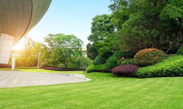 Commercial Lawn Care in Edison