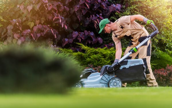 Lawn Care And Maintenance in Edison