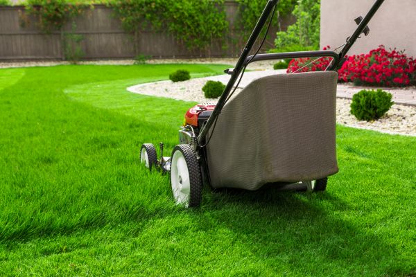 Lawn Mowing in Edison