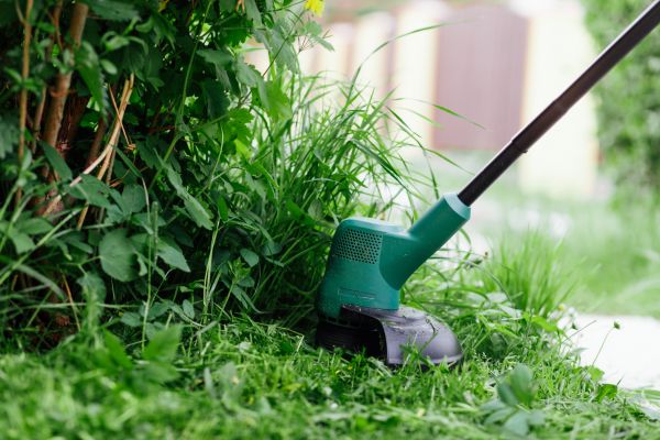 Weed Whacking in Edison