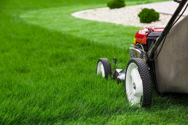 Yard Maintenance in Edison