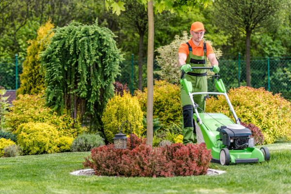 Yard Service in Edison