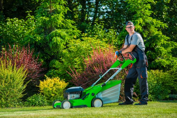 Yard Work Service in Edison