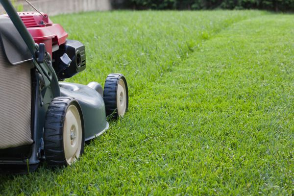 Residential Lawn Care in Edison