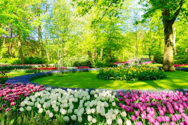 Cost of Spring Lawn Care in Edison
