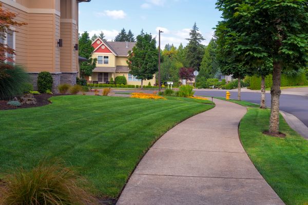 Home Lawn Maintenance in Edison