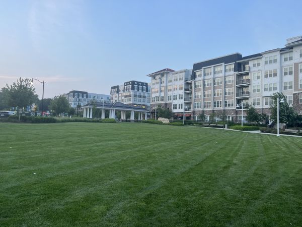 Urban Lawn Care in Edison