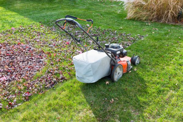 Seasonal Lawn Care in Edison