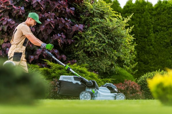 Lawn Management in Edison