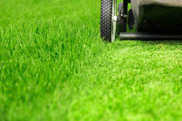 Weekly Lawn Care in Edison