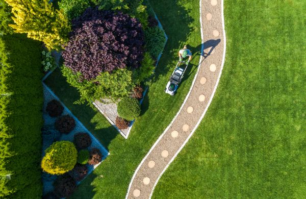 Mowing And Landscaping in Edison