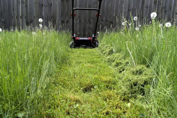 High Grass Mowing in Edison