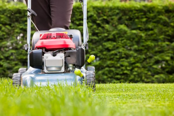 Grass Trimming Service in Edison