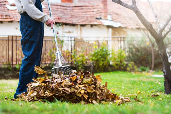 Cost of Routine Lawn Maintenance in Edison