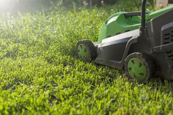 Residential Lawn Maintenance in Edison