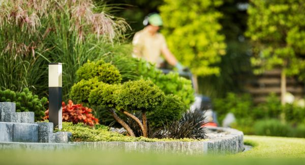 Residential Yard Maintenance in Edison