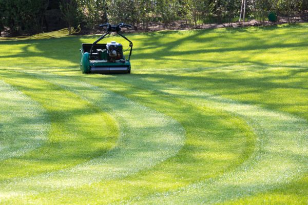 Business Lawn Mowing in Edison