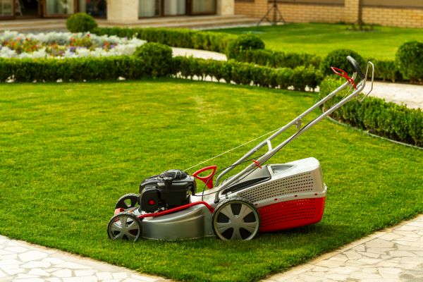 Business Grass Cutting in Edison