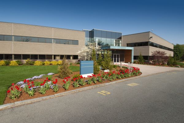 Commercial Groundskeeping in Edison