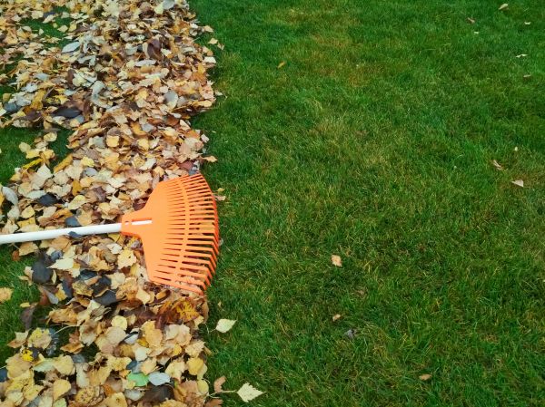 Fall Lawn Care in Edison