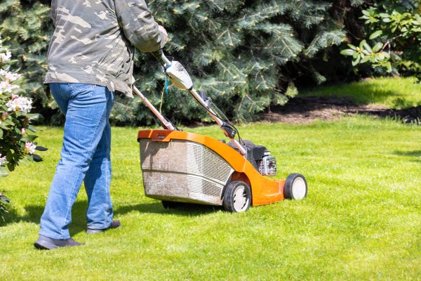 Springtime Lawn Care in Edison