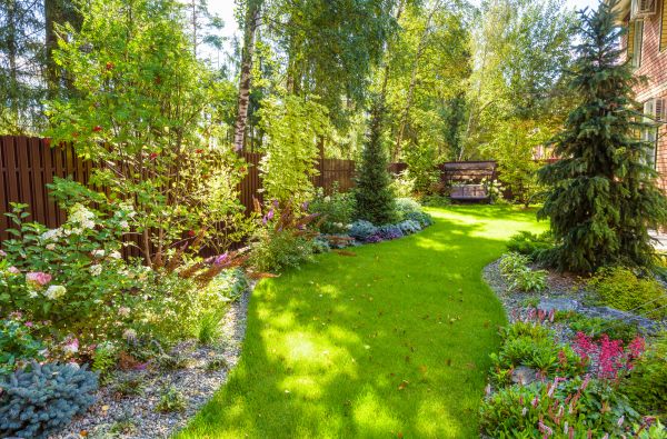 Spring Yard Maintenance in Edison