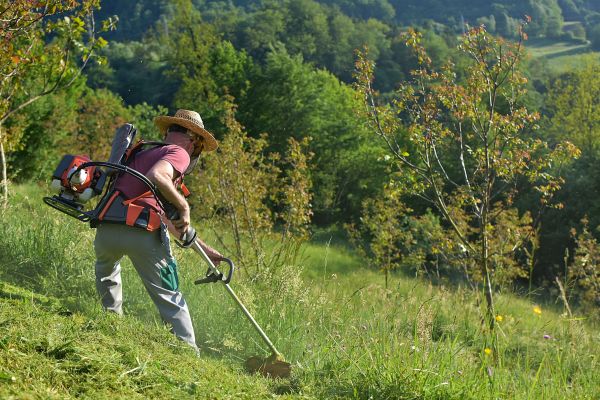 Slope Mowing in Edison