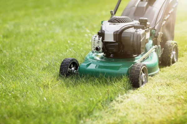 Cost of Spring Grass Trimming in Edison